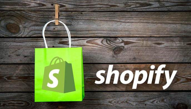 2022122010022115 - Shopify网站的主题可以决定商店的最终外观